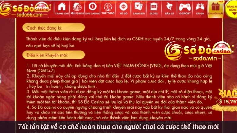 Tất tần tật về cơ chế hoàn thua cho người chơi cá cược thể thao mới