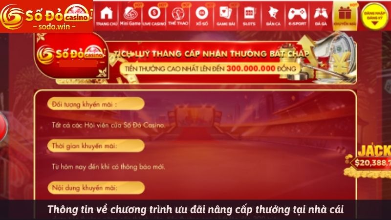 Thông tin về chương trình ưu đãi nâng cấp thưởng tại nhà cái 